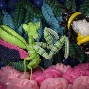 to fight seasons series spring balloon sculpture mantis fighting bumblebee
