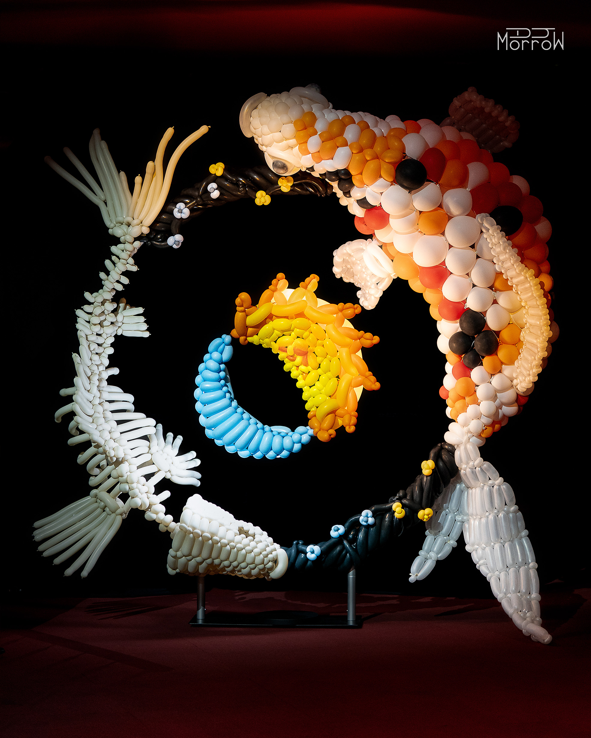 balloon sculpture of two koi fish, one plump, one a skeleton, circling each other with a half sun and half moon in center